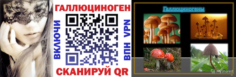 Псилоцибиновые грибы MAGIC MUSHROOMS  закладка  Удачный 